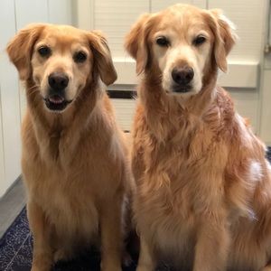 Meet your Posher, Wendy